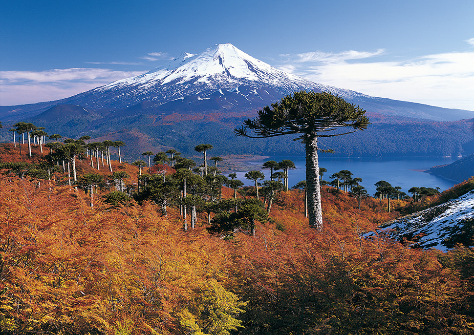 Temuco